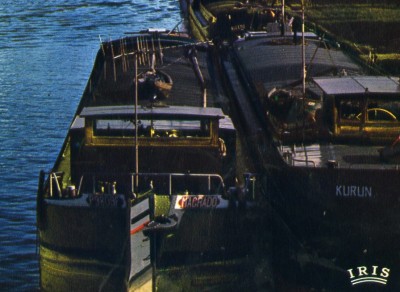 'agrado+kurun+x-extCP-iris-51454317.jpg (496.47 Kio) Vu 2007 fois 'agrado+kurun+x-extCP-iris-51454317.jpg