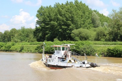 IMG_7417.JPG (177.58 Kio) Vu 2228 fois IMG_7417.JPG