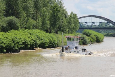 IMG_7411.JPG (179.49 Kio) Vu 2228 fois IMG_7411.JPG