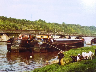 P1040164.JPG (279.39 Kio) Vu 3636 fois P1040164.JPG