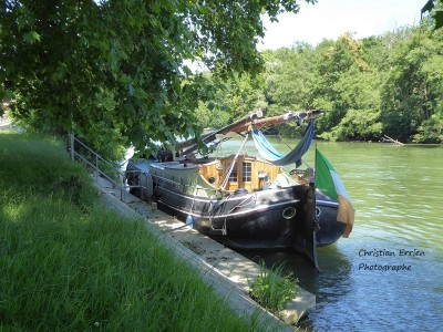 Zelden Rust Samois1 - Copie.JPG (298.48 Kio) Vu 1752 fois Zelden Rust Samois1 - Copie.JPG