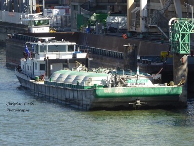 Tarentule Galeace quai Bercy 3 - Copie.JPG (239.56 Kio) Vu 2545 fois Tarentule Galeace quai Bercy 3 - Copie.JPG