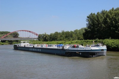 IMG_7783.JPG (122.01 Kio) Vu 1322 fois IMG_7783.JPG