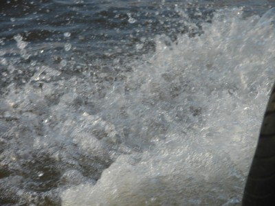 DSC02873.JPGa.jpg (108.12 Kio) Vu 3279 fois DSC02873.JPGa.jpg