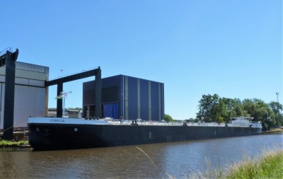 Lobelia-1-30-06-2018-Waterhuizen (2).JPG (53.32 Kio) Vu 1297 fois Lobelia-1-30-06-2018-Waterhuizen (2).JPG