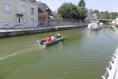 P1000913 (800x533).jpg (267.34 Kio) Vu 8959 fois P1000913 (800x533).jpg