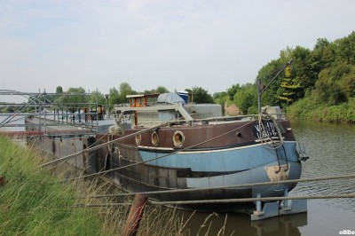 IMG_7992.JPG