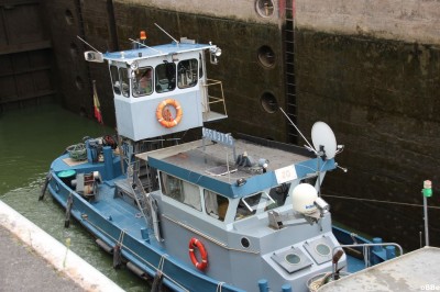 IMG_8165.JPG (139.93 Kio) Vu 3042 fois IMG_8165.JPG