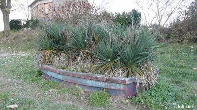 GO-RY - bachot à Berry-au-Bac - 2010 (2).jpg