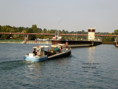 Cher Bois le Roi4 - Copie.JPG (213.04 Kio) Vu 5028 fois Cher Bois le Roi4 - Copie.JPG