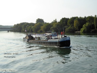 Cher Cosmao Bois le roi2 - Copie.JPG (191.35 Kio) Vu 4868 fois Cher Cosmao Bois le roi2 - Copie.JPG