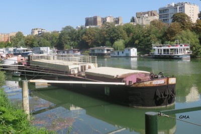 damianne-av.JPG (815.22 Kio) Vu 2882 fois damianne-av.JPG