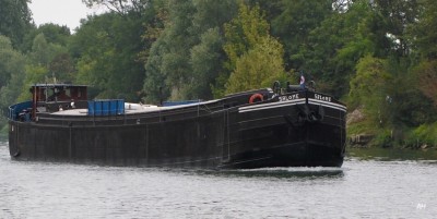 Salomé f.jpg (167.62 Kio) Vu 2482 fois Salomé f.jpg