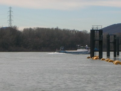 DSCN7186.JPG (128.89 Kio) Vu 1668 fois DSCN7186.JPG