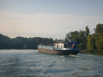 DSCN8054.JPG (137.98 Kio) Vu 1667 fois DSCN8054.JPG