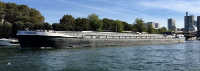 Savane.jpg (152.85 Kio) Vu 2591 fois Savane.jpg