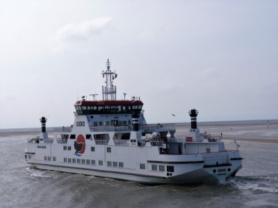 8.jpg (54.24 Kio) Vu 7223 fois 8.jpg