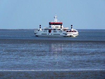 6.jpg (73.81 Kio) Vu 7223 fois 6.jpg