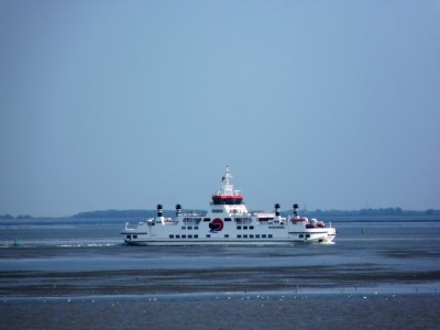 5.jpg (44.42 Kio) Vu 7205 fois 5.jpg