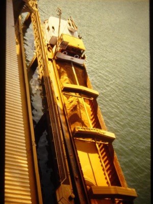 DSC01086.jpg (56.94 Kio) Vu 2543 fois DSC01086.jpg