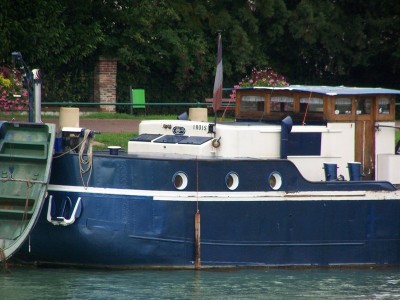 IROIS 2.JPG
