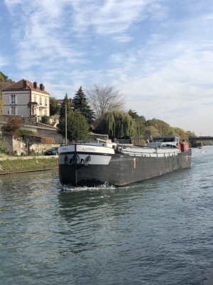 baribal.jpg (52.53 Kio) Vu 4117 fois baribal.jpg