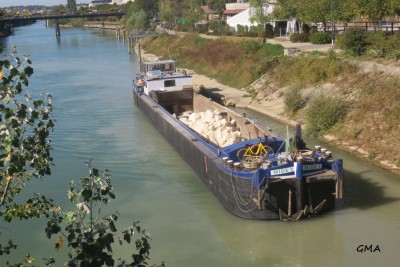 mide 1-av.JPG