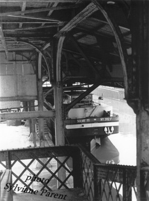 SLV 111.jpg (114.52 Kio) Vu 8154 fois SLV 111.jpg