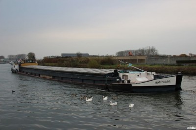 IMG_8805.JPG (92.69 Kio) Vu 1672 fois IMG_8805.JPG