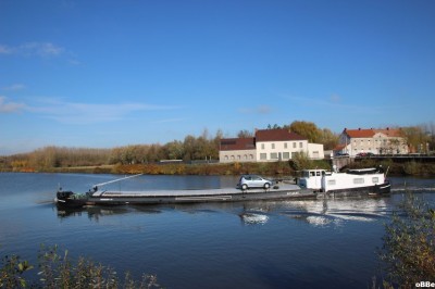 IMG_8650.JPG