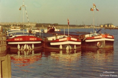 SLV 113- 121- 123 Nez a Genk.jpg