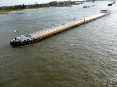 quenya-2-31-03-2010.jpg (105.44 Kio) Vu 1840 fois quenya-2-31-03-2010.jpg