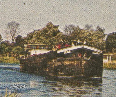 JENA ou JEMA sur la Houlle à Houlle.jpg (66.75 Kio) Vu 3418 fois JENA ou JEMA sur la Houlle à Houlle.jpg