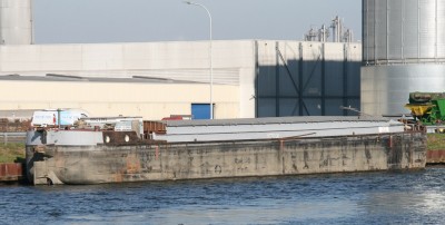 Kelvi - 2xa.jpg