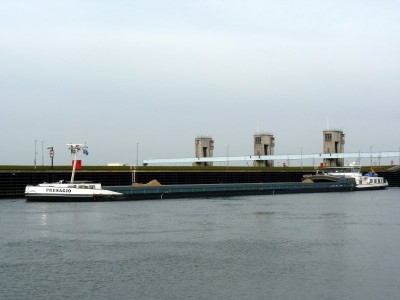 presagio-1-18-03-2.jpg (56.06 Kio) Vu 1388 fois presagio-1-18-03-2.jpg