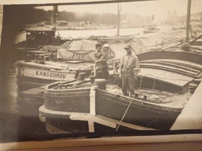 kangourou.jpg (115.08 Kio) Vu 2526 fois kangourou.jpg