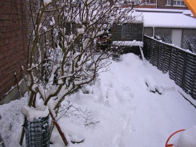 coudekerque sous la neige 004.jpg (143.88 Kio) Vu 2282 fois coudekerque sous la neige 004.jpg