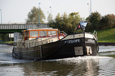 IMG_7529_opt.jpg