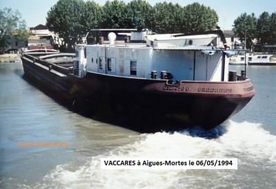 VACCARES Vagus 02.jpg