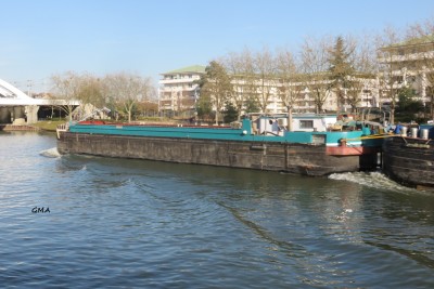 myllana-ar.JPG