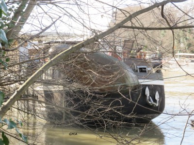 fregate-ar.JPG (1.06 Mio) Vu 2294 fois fregate-ar.JPG