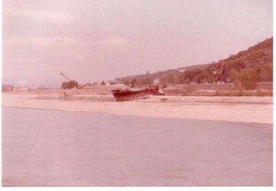 gazelle.jpg (125.33 Kio) Vu 8522 fois gazelle.jpg