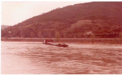 gazelle0.jpg (165.92 Kio) Vu 8522 fois gazelle0.jpg