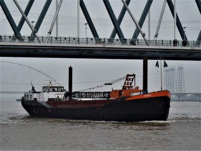Hebbes-1-20-03-2019-Nijmegen (2).JPG