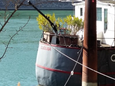 20190323_151610 (Copier).jpg (135.95 Kio) Vu 3198 fois 20190323_151610 (Copier).jpg