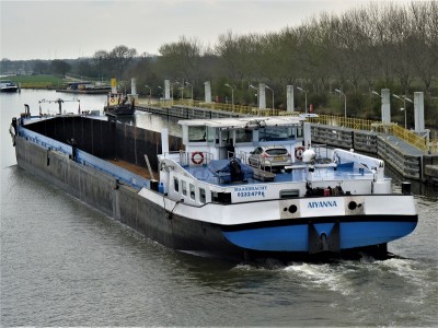 Aiyanna-6-28-03-2019-sluis-Sambeek.jpg (246.96 Kio) Vu 3244 fois Aiyanna-6-28-03-2019-sluis-Sambeek.jpg