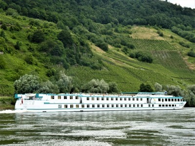 Switzerland-3-30-06-2016-Wintrich.jpg