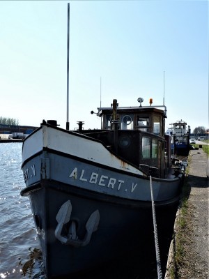 Albert-V-1-19-04-2019-Groningen.jpg