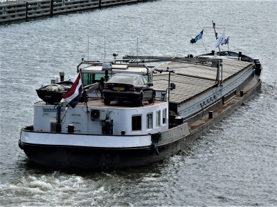 S-Inne-6-24-04-2019-Sambeek (2).JPG (280.39 Kio) Vu 1622 fois S-Inne-6-24-04-2019-Sambeek (2).JPG