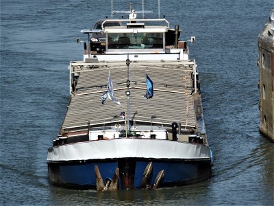 S-Inne-3-24-04-2019-Sambeek (2).JPG (257.64 Kio) Vu 1622 fois S-Inne-3-24-04-2019-Sambeek (2).JPG